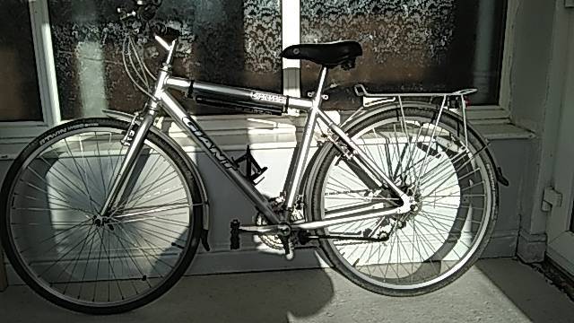 giant expression mens bike